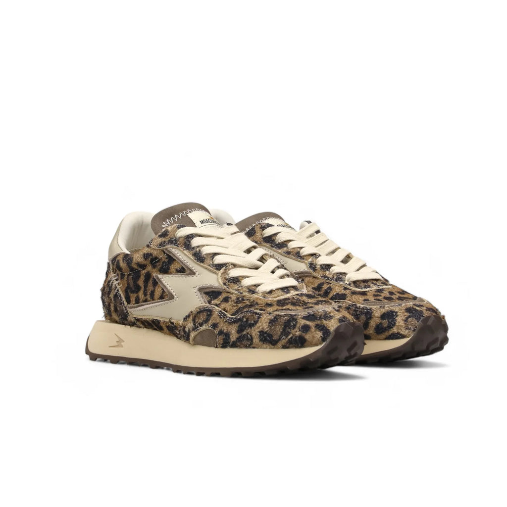 Baskets SNEAKER HYPE léopard